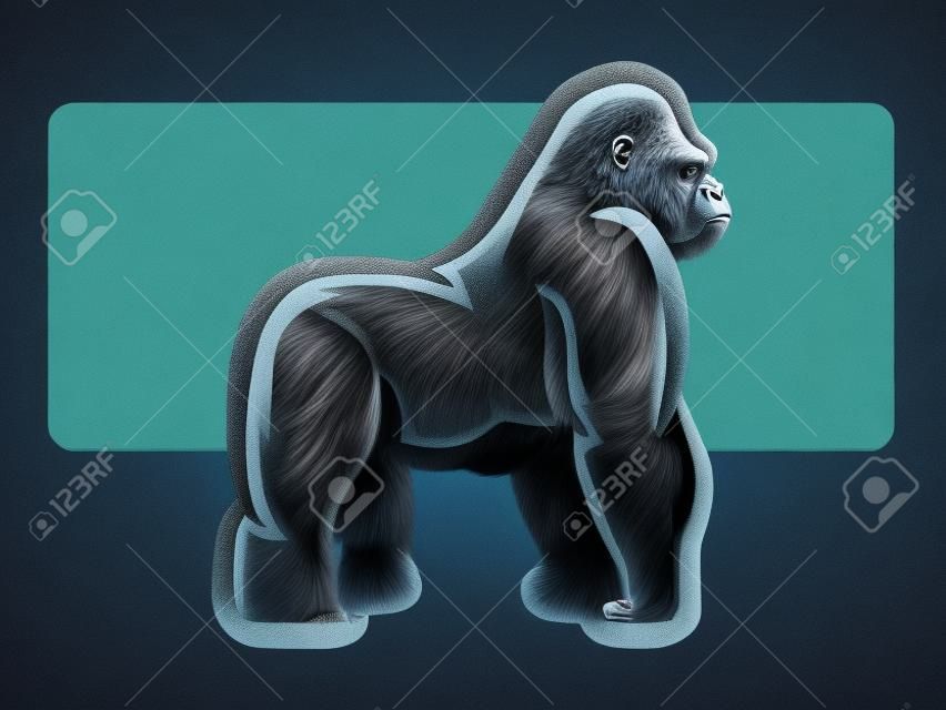 Ilustración de un gorila espalda plateada en la vista lateral