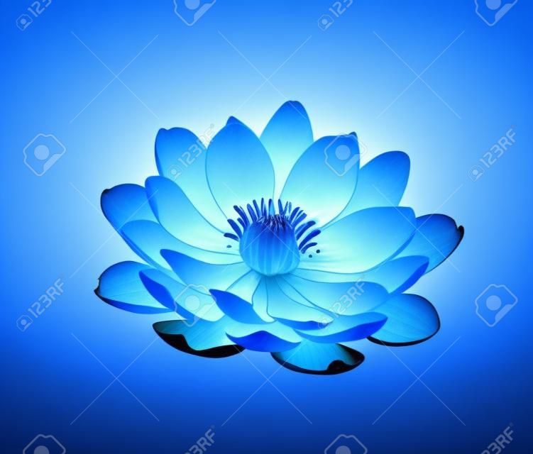 Blossoming beautiful blue waterlily or lotus flower isolated.