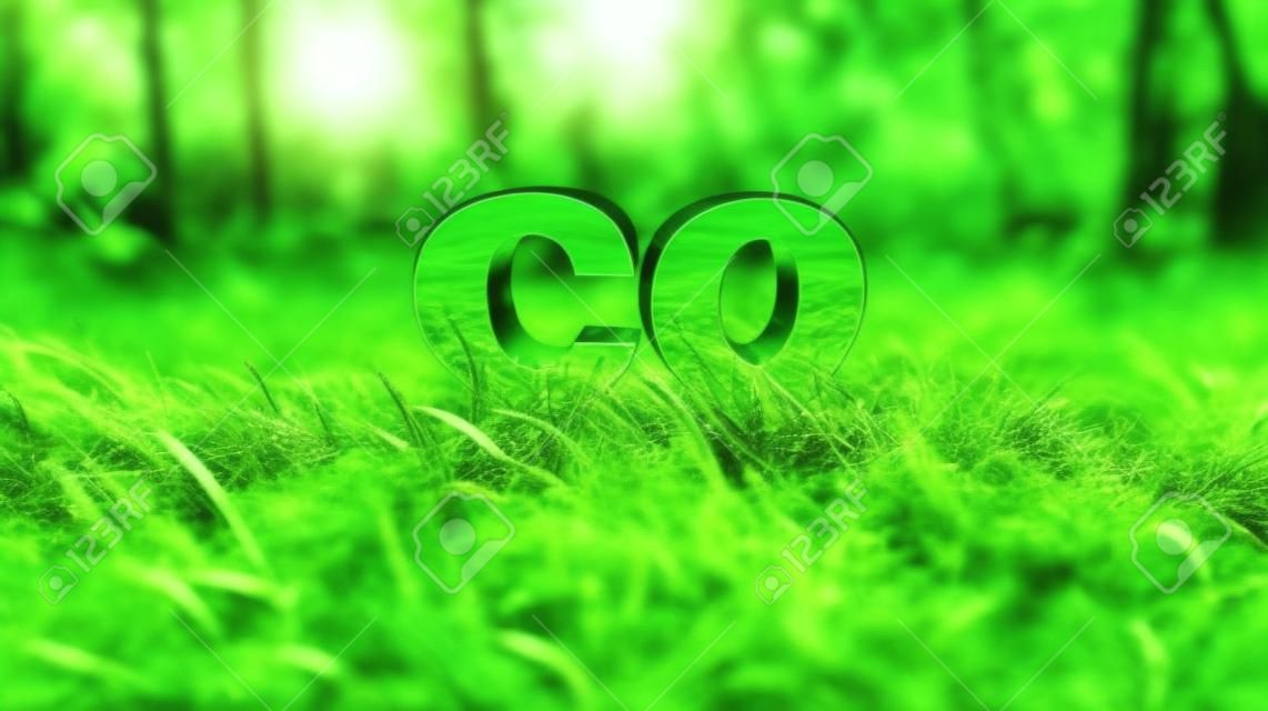 CO2-Symbol auf grünem Gras in einem Wald. Verringert den CO2-Fußabdruck, um die globale Erwärmung und den Klimawandel zu begrenzen. Nachhaltige Entwicklung und Unternehmen auf der Grundlage erneuerbarer Energien reduzieren das CO2-Emissionskonzept