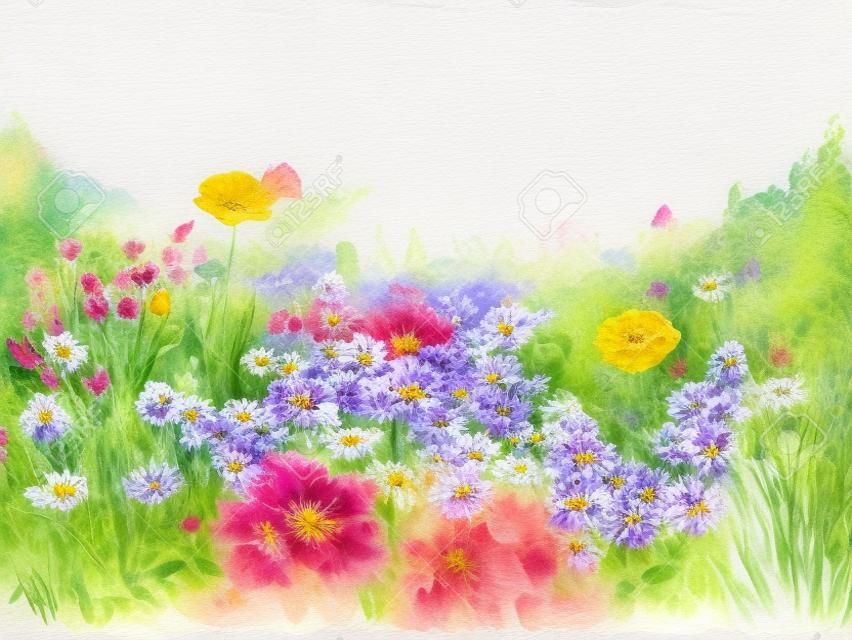 Flores de verano en mano Jardín acuarela pintada
