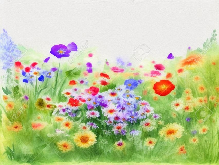Flores de verano en mano Jardín acuarela pintada