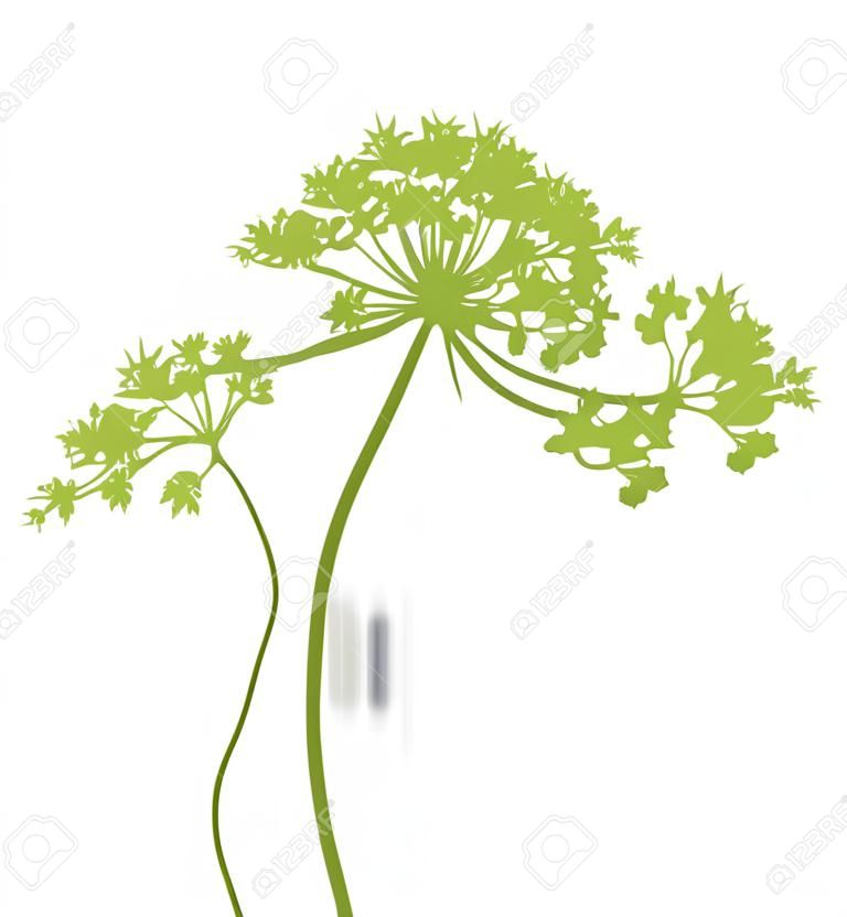 background with plant green silhouette