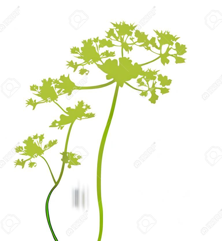 background with plant green silhouette