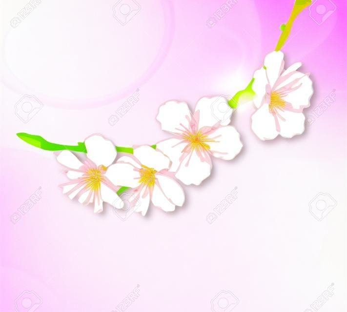 florecimiento de las flores del árbol de la línea de arte gráfico de la mano. primavera de fondo con estilo, con flores de color rosa vector esquema