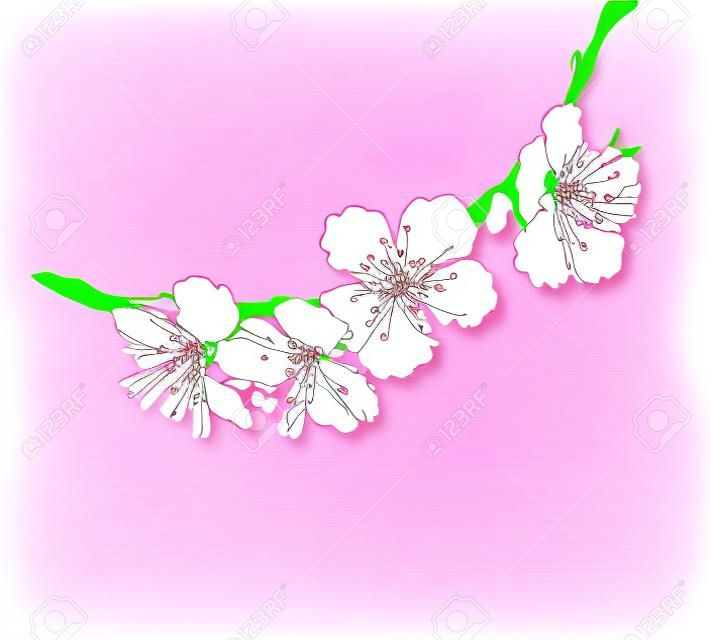 florecimiento de las flores del árbol de la línea de arte gráfico de la mano. primavera de fondo con estilo, con flores de color rosa vector esquema