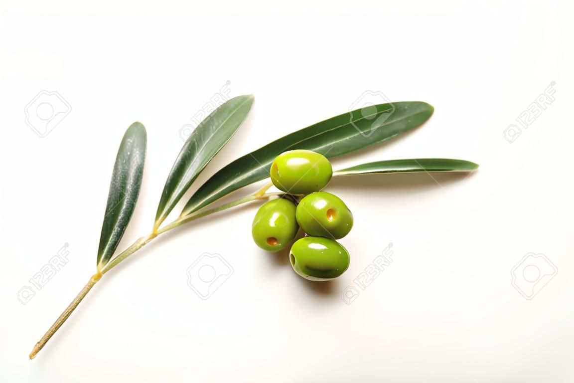 Małe zielone oliwki na gałęzi na białym tle