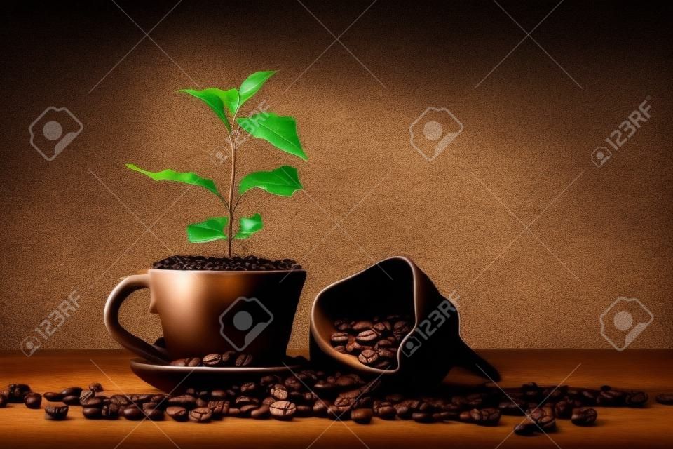 arbre de café se développe sur une tasse de café en grains.