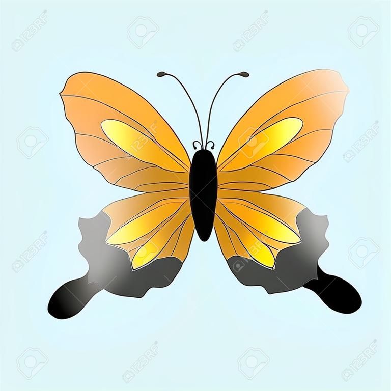 hermosa mariposa solar
