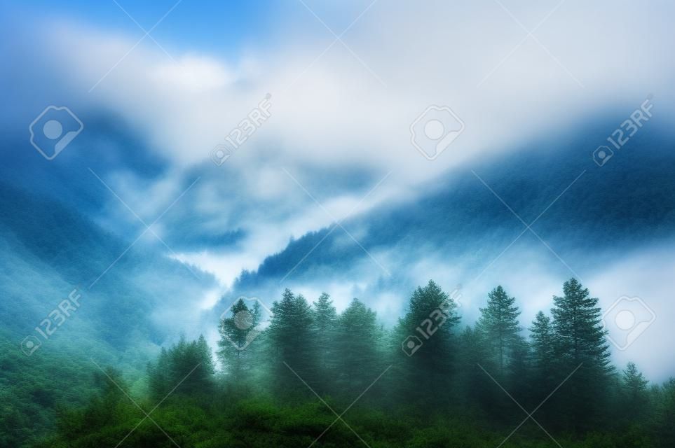 paysage de montagnes dans la brume