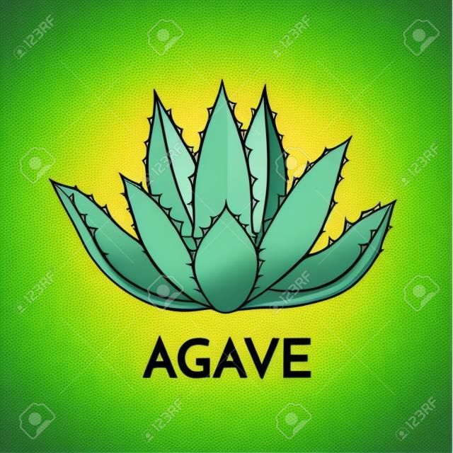 zielony kwiat logo ilustracji Agawa roślin kolorowe wektor, zestaw symboli