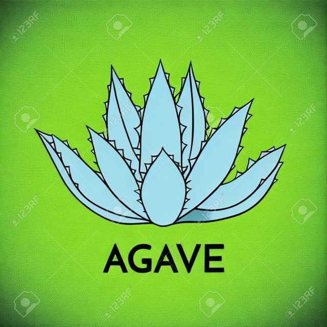 Agavenanlage grüne Blume Logo bunte Vektor-Illustration, Zeichen gesetzt