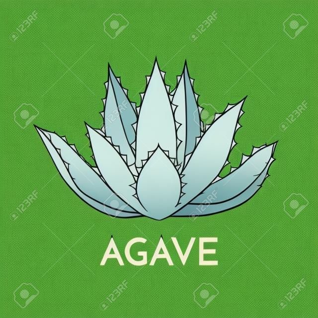 リュウゼツランの植物緑花ロゴ カラフルなベクトル図、記号セット