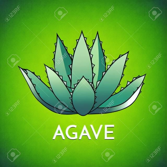 Агавы зеленый цветок логотип красочные векторные иллюстрации, набор символов