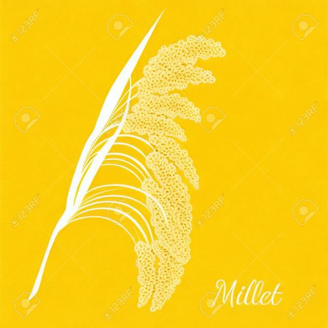 Mijo amarillo aislado en blanco. Ilustración de vector realista de cereal