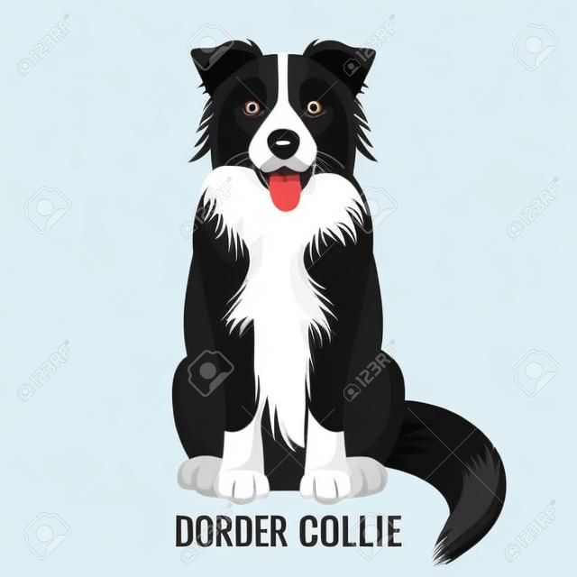 Border Collie pet sits isolated on white with its name below vector illustration. Big domestic realistic dog with open mouth