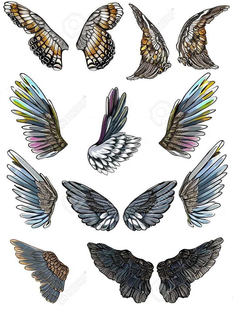 고립 된 열린 위치에서 다른 모양의 다채로운 새 날개의 집합입니다. 천사 날개를 가진 다채로운 삽화의 컬렉션입니다. 자유형 그리기. 손 그리기 문신 빈티지 바디 아트 개념 벡터입니다.
