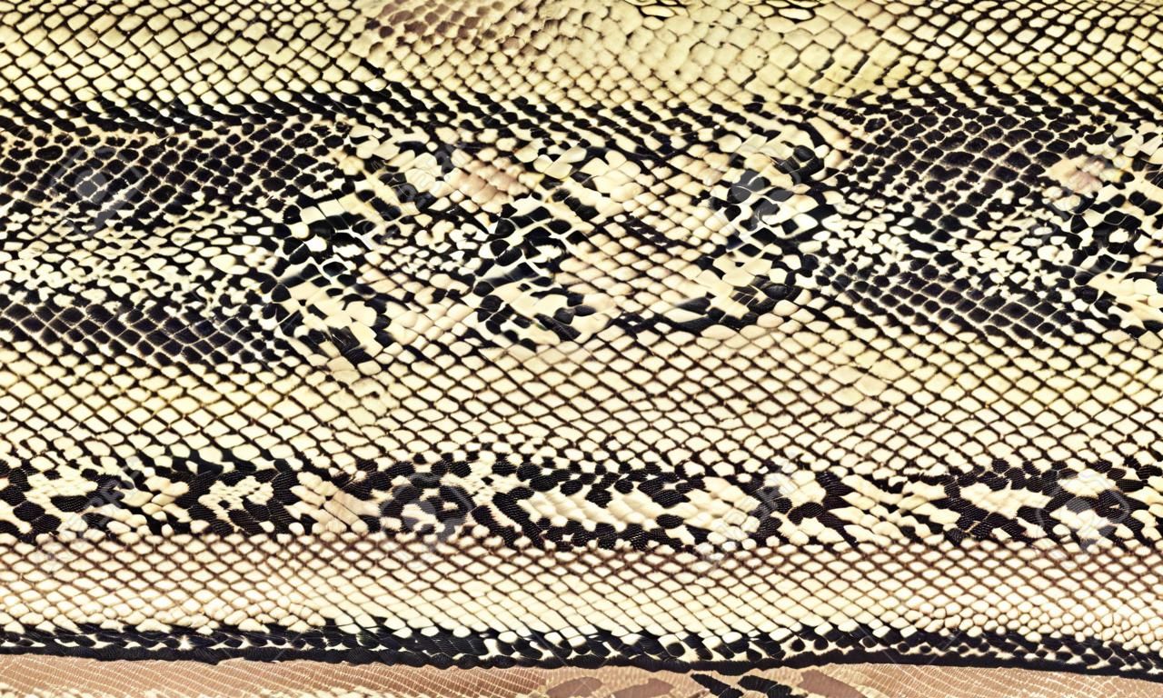 Snake skin texture. Reptile seamless background for design.