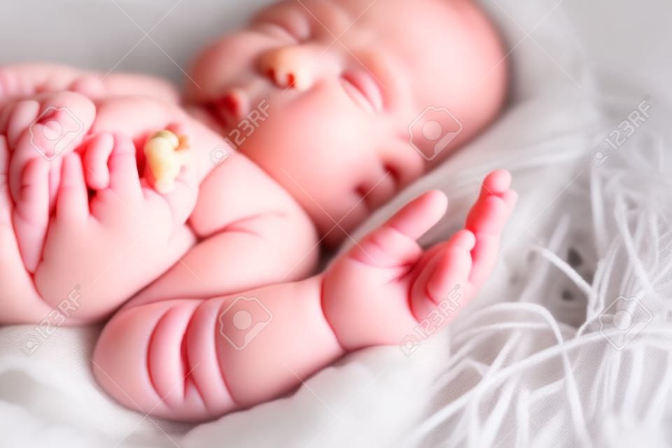 Neugeborenes Entzückende Hand Unschuld Nette süße Kleine Baby-Konzept