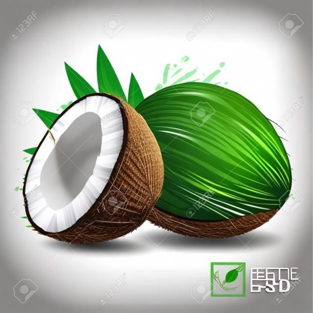 3D realistic isolated vector set of whole coconut, coconut halves and palm leaves