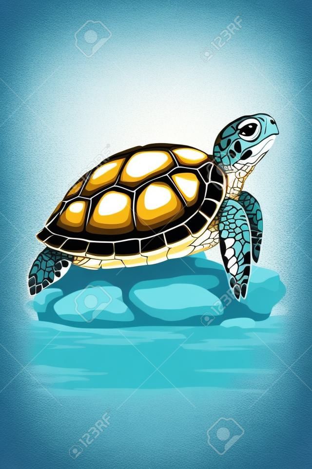 Turtle on a rock in the water. Vector illustration in cartoon style.