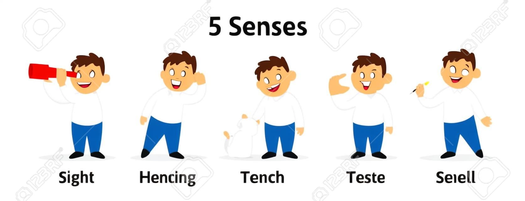 Set of 5 senses in cartoon character cards. Sight, smell, touch, hearing, and taste explained with coloful cards. Flat vector illustration, isolated on white background.