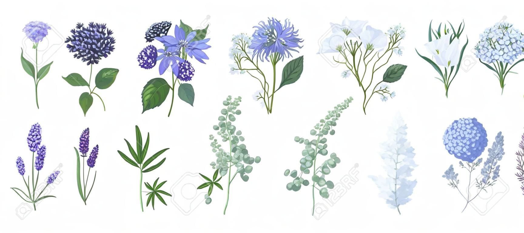 Conjunto de desenhos detalhados de belas flores florísticas e ervas decorativas isoladas no fundo branco. Conjunto de belas decorações florais e ervas. Ilustração vetorial botânica desenhada à mão.