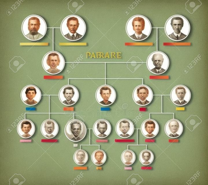 Ancestry chart template with portraits of men and women in round frames. Visualization of links between ancestors and descendants, family members. Modern colorful vector illustration.