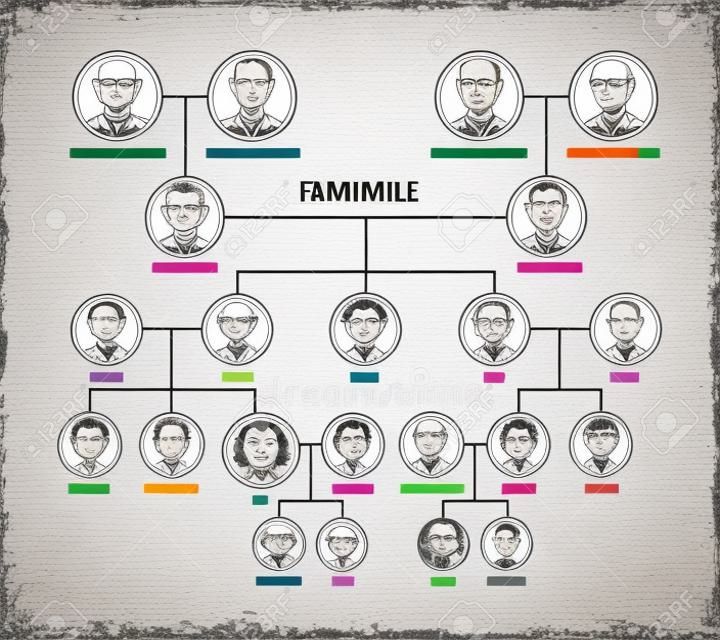 Family tree, pedigree or ancestry chart template. Cute mens and womens portraits in circular frames connected by lines. Links between relatives. Colorful vector illustration in lineart style.