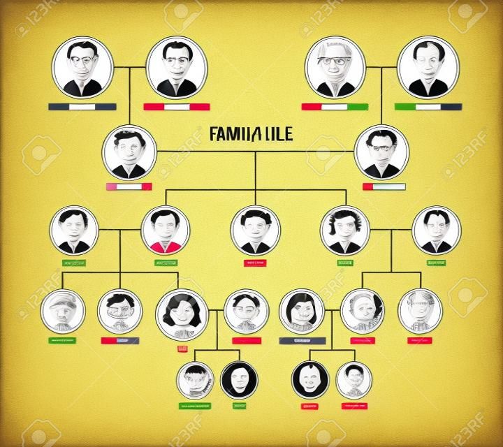 Family tree, pedigree or ancestry chart template. Cute mens and womens portraits in circular frames connected by lines. Links between relatives. Colorful vector illustration in lineart style.