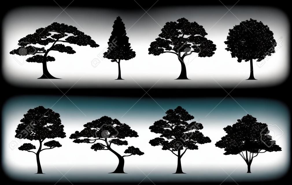 Schattenbildbaum. Vektorbäume in den Schattenbildern eingestellt