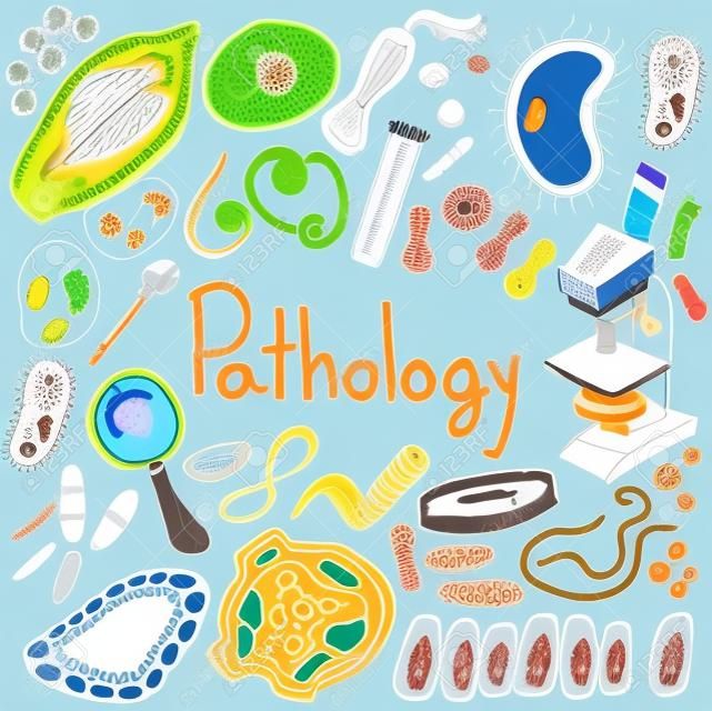 Patologia doodle ikony biologii pisma z kiełków i patogenów chorób człowieka, takich jak wirusy, bakterie, grzyby, ameby i pierwotniaków w białym odizolowanych tle papieru do prezentacji edukacji lub z zastrzeżeniem własności, tworzenie przez wektor