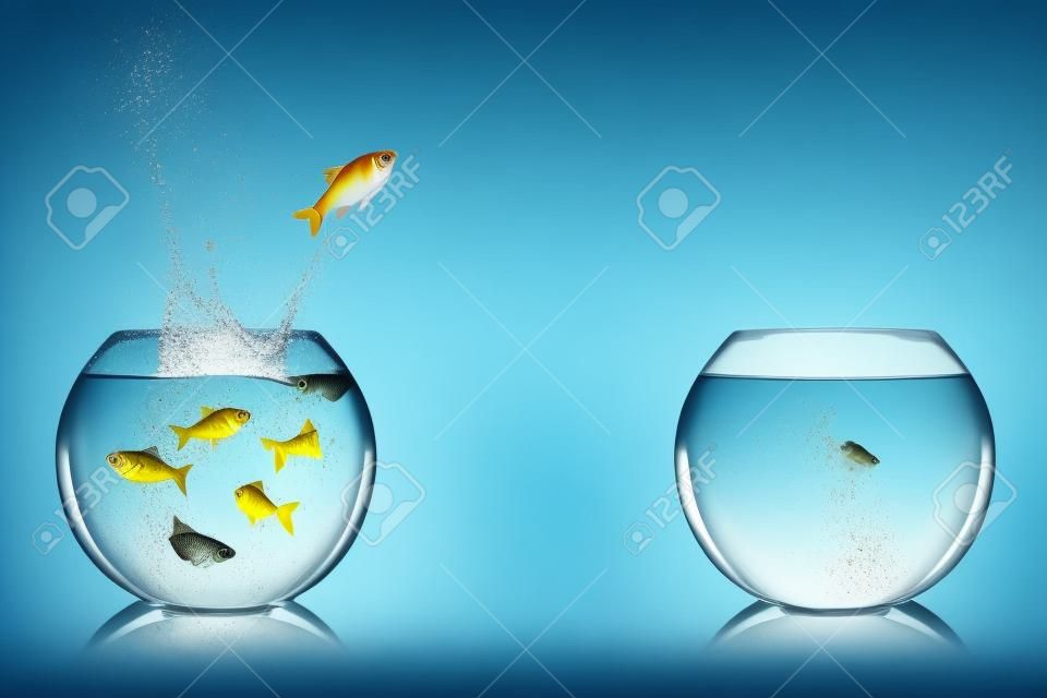 saltar de los pescados en un cuenco vacío