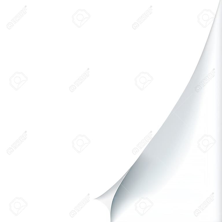 Paper blank page curled corner with shadow. Vector template illustration for your design