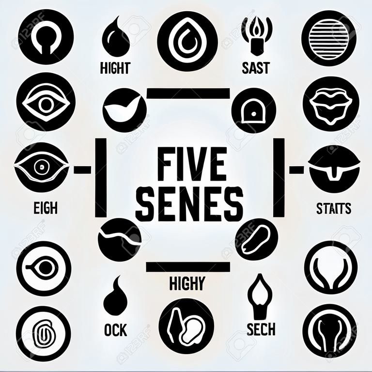 Cinque sensi icone vettoriali set