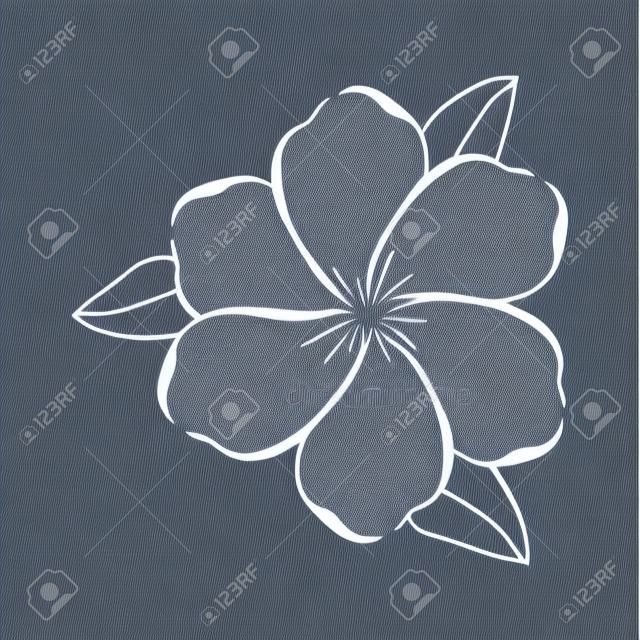 zarten Symbol Bild Vektor-Illustration Blume Zeichnung Design