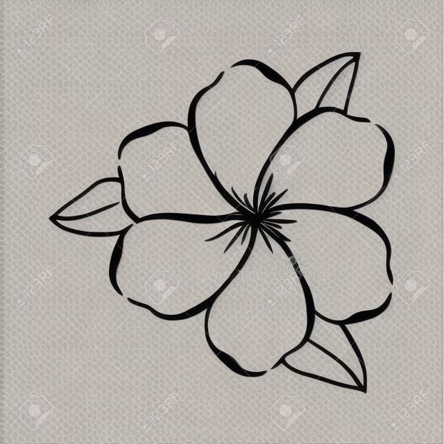 zarten Symbol Bild Vektor-Illustration Blume Zeichnung Design