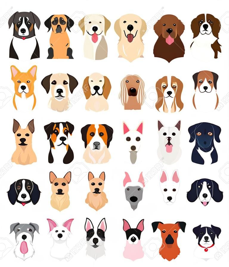 bundel van hondenrassen groep vector illustratie ontwerp