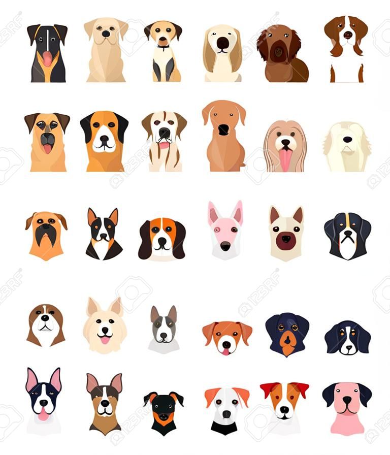 bundel van hondenrassen groep vector illustratie ontwerp