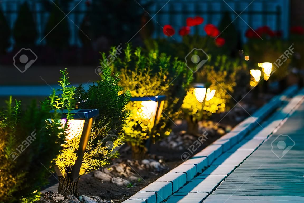 Vista noturna do canteiro de flores com flores iluminadas por Energy-Savin