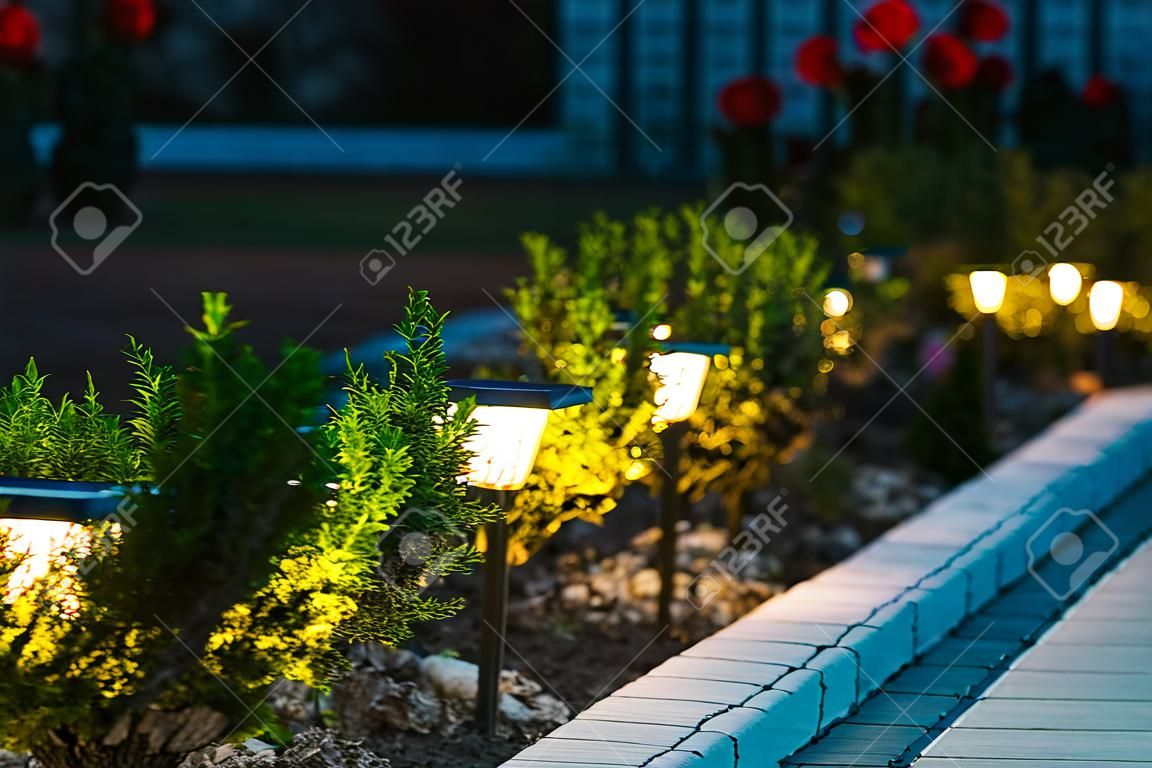 Vista noturna do canteiro de flores com flores iluminadas por Energy-Savin