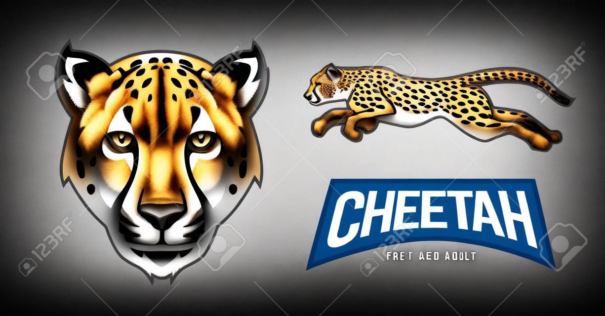 cheetah sport edition for mascot