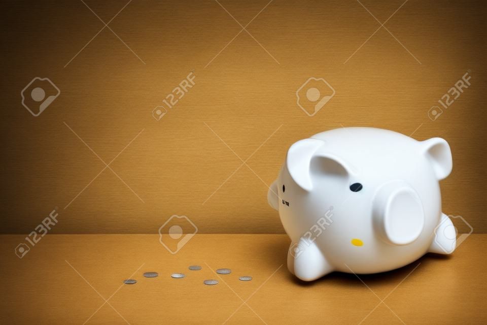 Empty piggy bank