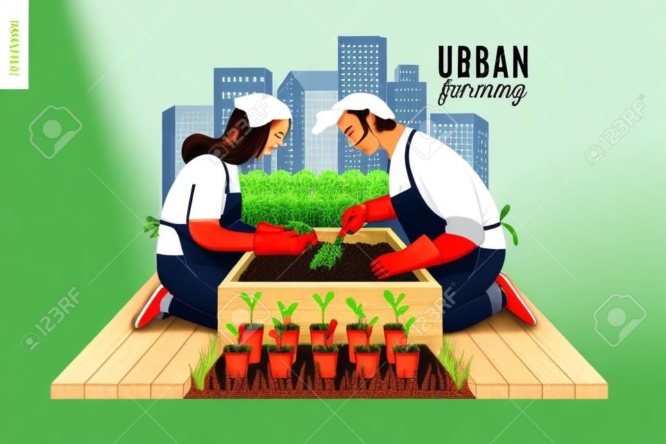 Urban Farming, Gartenbau oder Landwirtschaft. Ein Mann und eine Frau, die heraus die Sprösslinge zum hölzernen Paketbett mit Stadtturmbauten auf dem Hintergrund auspflanzen