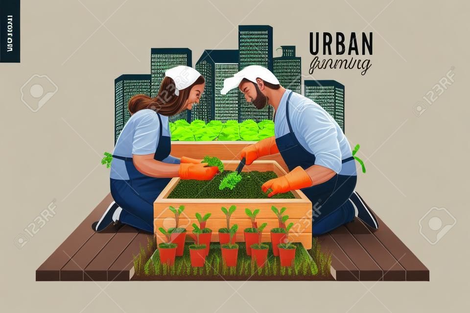 Urban farming, gardening or agriculture. A man and a woman planting out the sprouts to the wooden package bed with a city tower buildings on the background