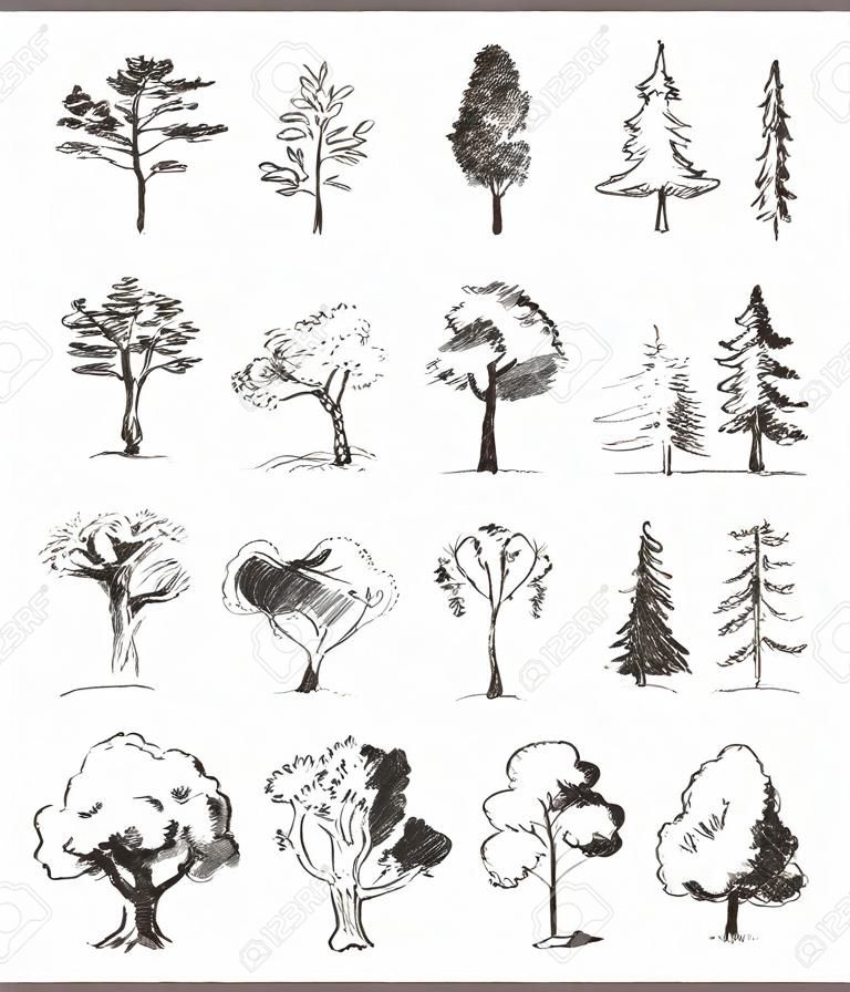 Trees set sketch, vintage Vektor-Illustration, graviert Stil, von Hand gezeichnet