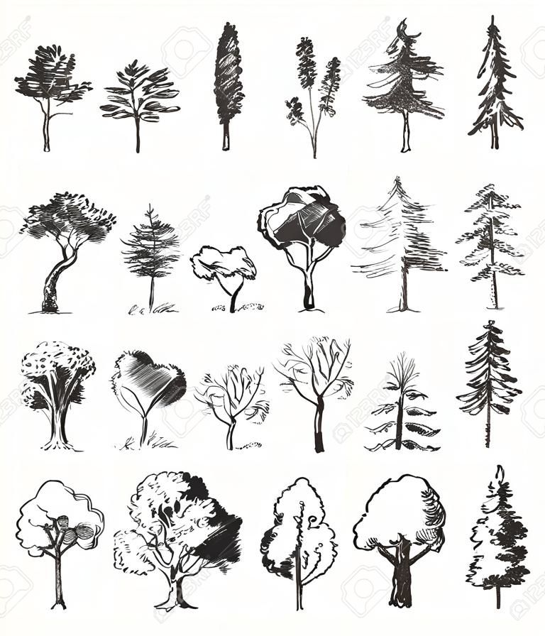 Ağaçlar kroki seti, bağbozumu vektör çizim, gravür tarzı, elle çizilmiş
