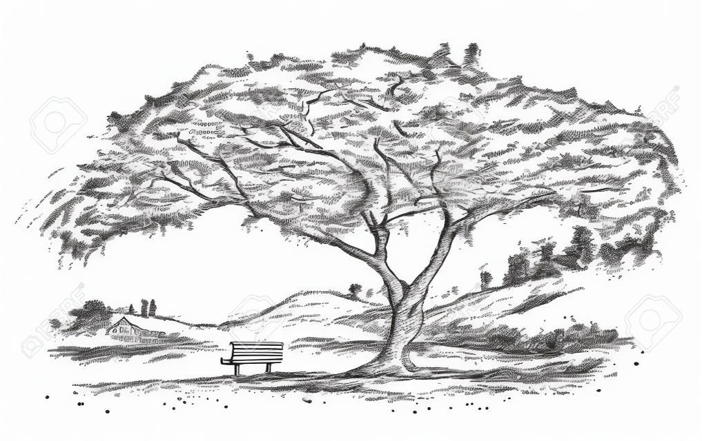 Mooie romantische illustratie van de boom met met de hand getekende schets van de bank