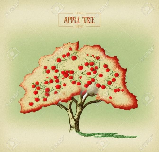 Hoge detail vintage illustratie van een appelboom, met de hand getekend, vector