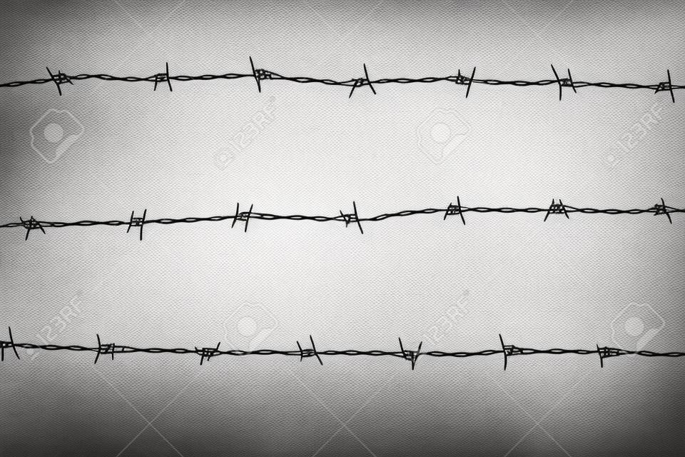 Barbed wires isolated on white background