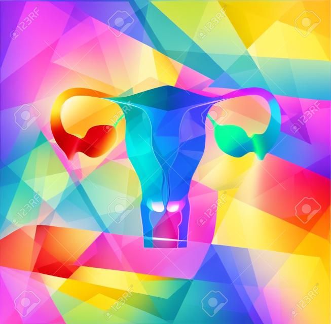 Female uterus and ovaries on a colorful geometric background, abstract medical illustration.